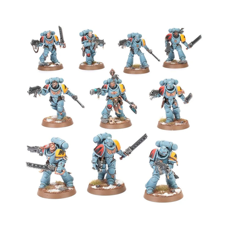 Warhammer 40k - Figuren - Space Wolves - Graumähnen